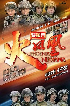 特种兵之火凤凰(DVD版)