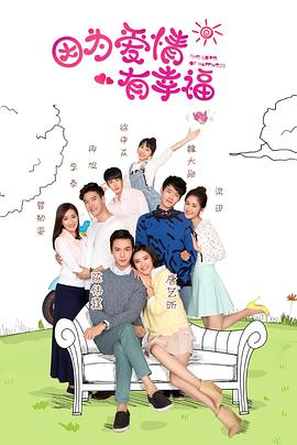 因为爱情有幸福(DVD版)