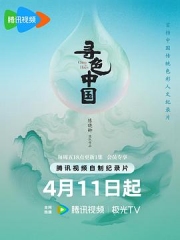 寻色中国